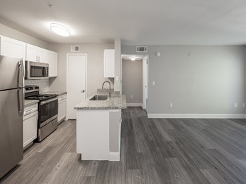 apartment kitchen and living area